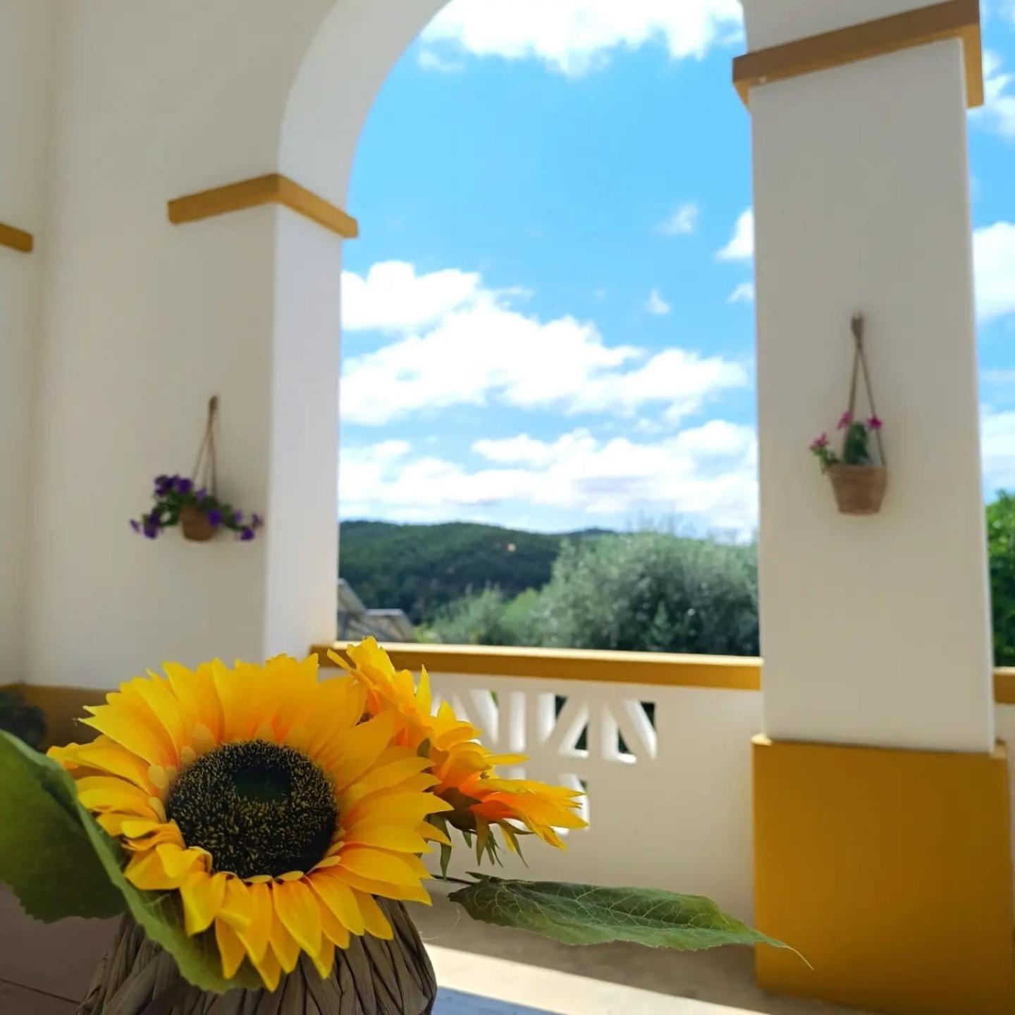 Casa Da Praia Do Ribatejo ภายนอก รูปภาพ